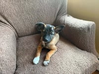 Kyli (GA) - Photo 4