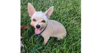 Molly (TX) - Photo 1