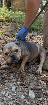 Jewel (GA) - Photo 3
