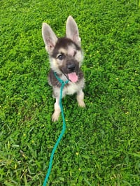 Winnie (TX) - Photo 1