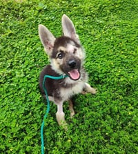 Winnie (TX) - Photo 2