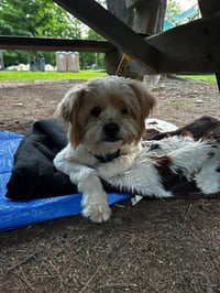 Duke (GA) - Photo 1