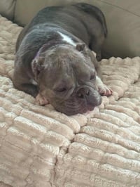 Coco (GA) - Photo 4