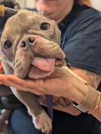 Coco (GA) - Photo 3
