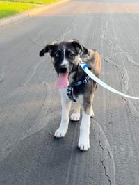 Colby (TX) - Photo 4