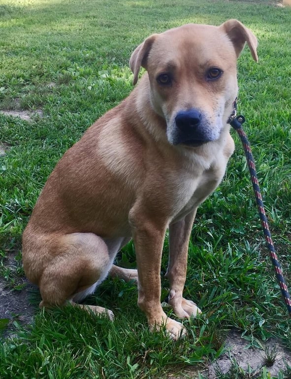 Missy (GA) Image