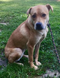 Missy (GA) - Photo 1