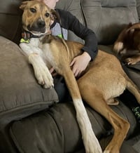 Lenny (TX) - Photo 3