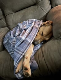 Lenny (TX) - Photo 4