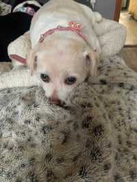 Mabel (TX) - Photo 2