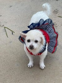 Mabel (TX) - Photo 3