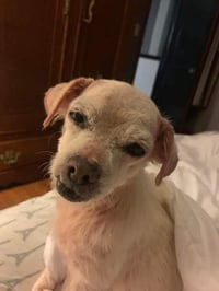 Mabel (TX) - Photo 4