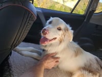 Riley (TN) - Photo 2