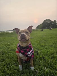 Piper (TX) - Photo 1