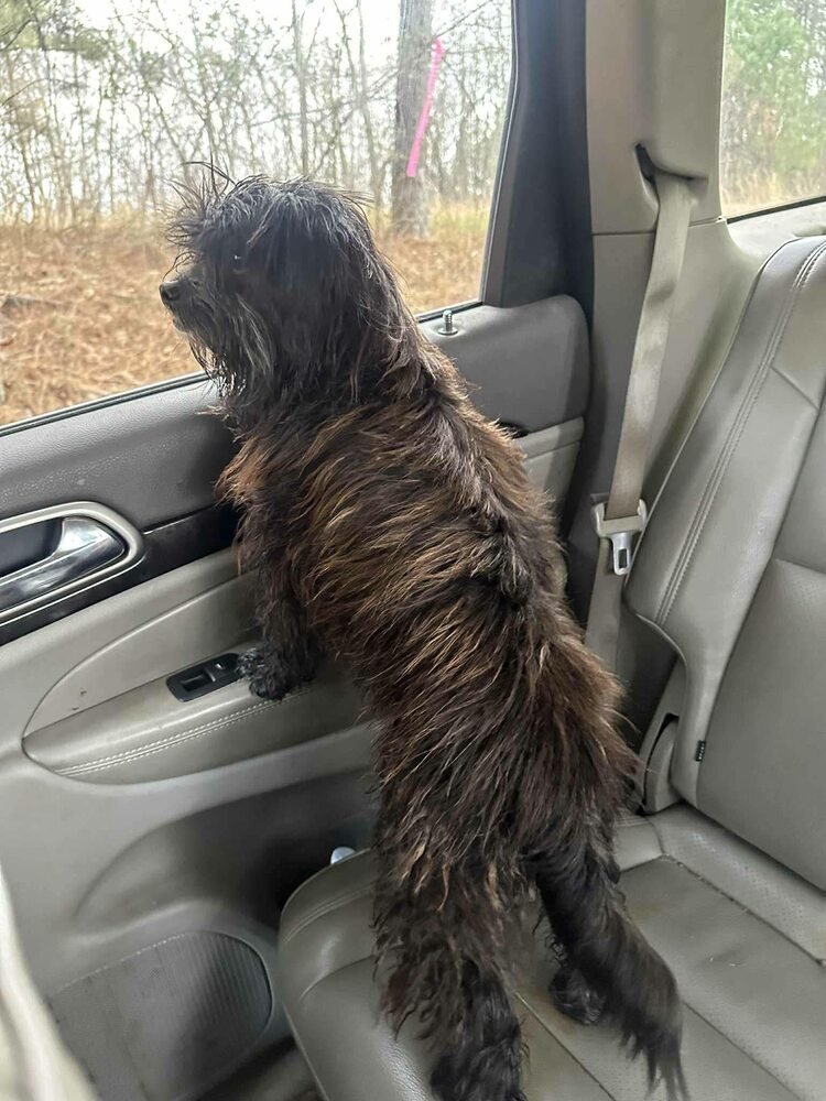 Manny (AL) - Photo 3