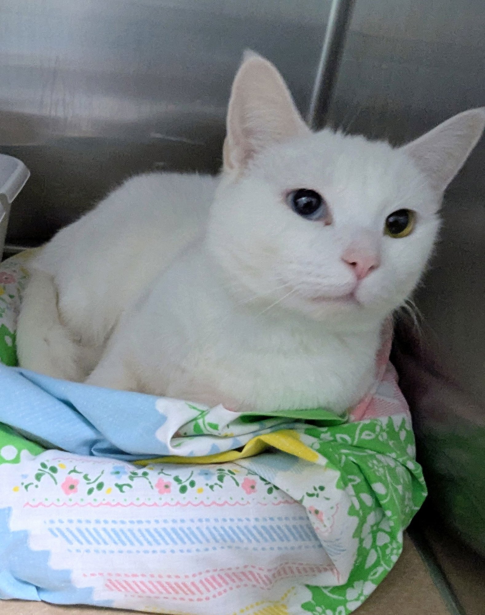 Winter Weather - Photo 3