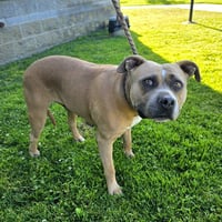 *TIPPY - Photo 1