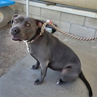 *ELLA - Photo 1
