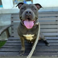 *MACY - Photo 1