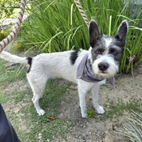 PARKER - Photo 1