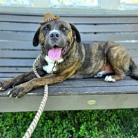 *ROSCO - Photo 1