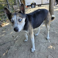 *SASHA - Photo 1