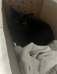 BEAN - Photo 1