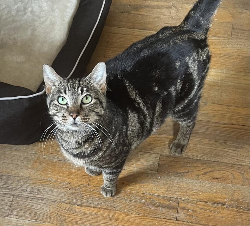Zoe Image