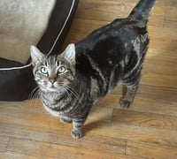 Zoe - Photo 1