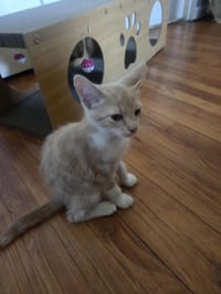 John - Photo 3