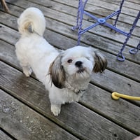 Matilda - Photo 1