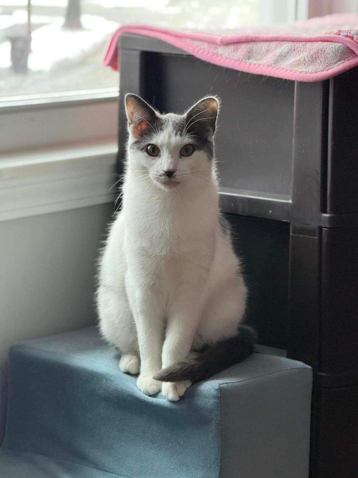 Spotty Dotty - Photo 3