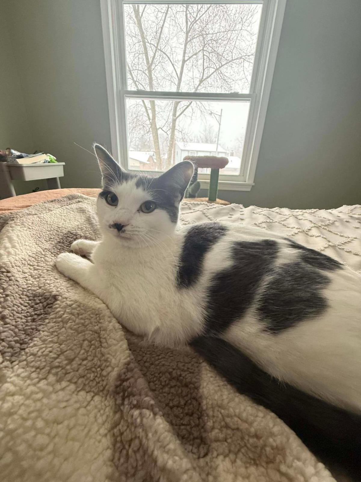 Spotty Dotty - Photo 4