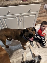 Gunner - Photo 8