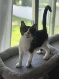 Thelma - Photo 1