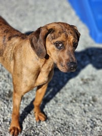 Reese - Photo 3