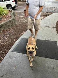 Nala - Photo 2