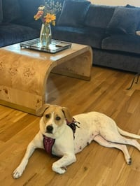 Butters - Photo 2