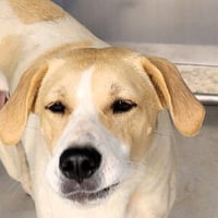 Butters - Photo 3
