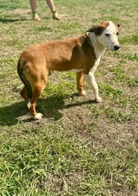 Mario - Photo 3