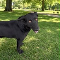 Lilly - Photo 3