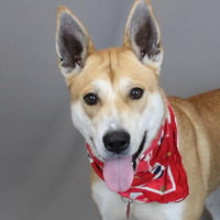 Lucy - Photo 2