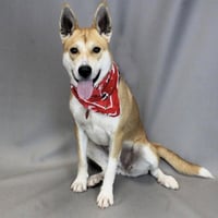 Lucy - Photo 4