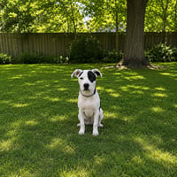 Sally - Photo 1