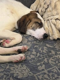 Juney - Photo 2