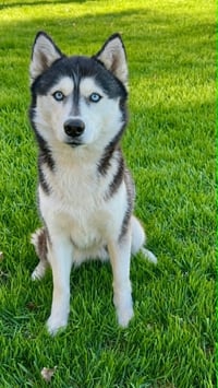 Echo - Photo 1