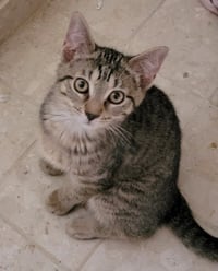 Clyde - Photo 3