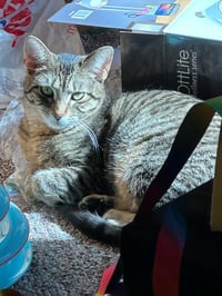 Charlie - Photo 3