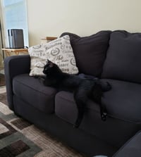 Dizzy - Photo 10