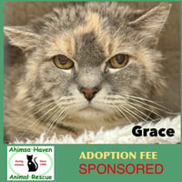 Grace - Photo 1